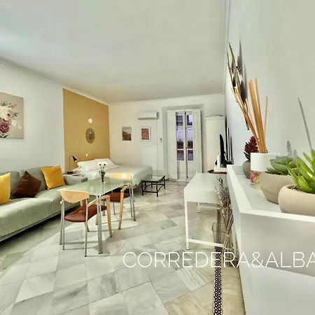 Casa Sevillana Centro Homestay Seville