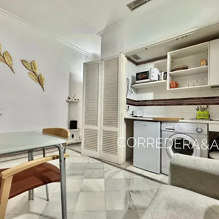 Casa Sevillana Centro